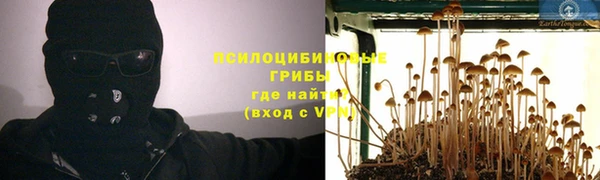 шишки Бугульма