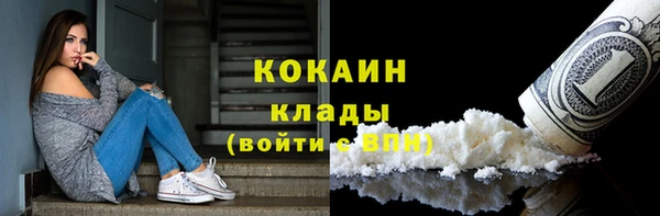 шишки Бугульма