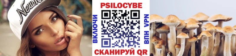 Галлюциногенные грибы Cubensis Купить Куртамыш